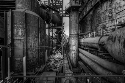 2026-02-FF-20150215-DSC01746-US2026-Trip-Full-Spectrum150215