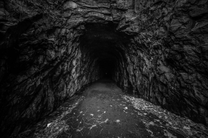 2026-02-FF-20150217-DSC01789-US2026-Trip-Full-Spectrum150217