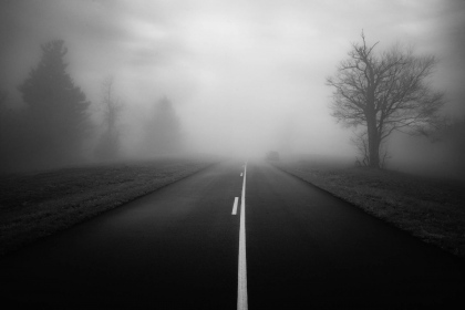 2026-02-FF-20150219-DSC01823-US2026-Trip-Full-Spectrum150219