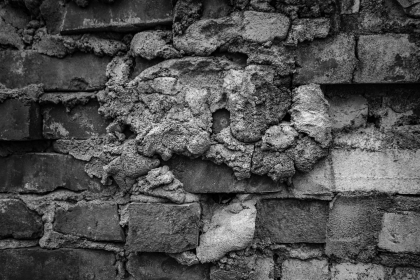 2026-02-FF-20150221-DSC01865-US2026-Trip-Full-Spectrum150221