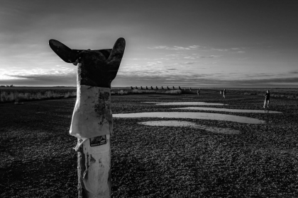 2026-02-FF-20150223-DSC01878-US2026-Trip-Full-Spectrum150223