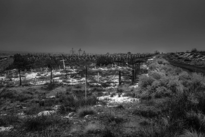 2026-02-FF-20150303-DSC02143-US2026-Trip-Full-Spectrum150303