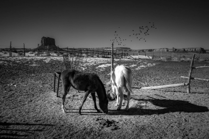 2026-02-FF-20150306-DSC02168-US2026-Trip-Full-Spectrum150306