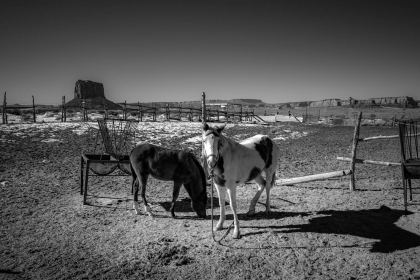 2026-02-FF-20150306-DSC02179-US2026-Trip-Full-Spectrum150306