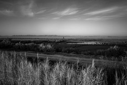 2026-02-FF-20150317-DSC02345-US2026-Trip-Full-Spectrum150317
