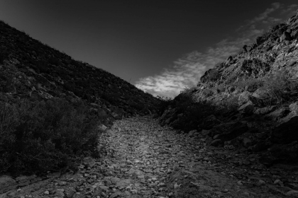 2026-02-FF-20150321-DSC02507-US2026-Trip-Full-Spectrum150321