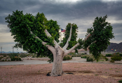 2026-02-FF-20251223-DSC09725-US2026-NM-CA-AZ251223