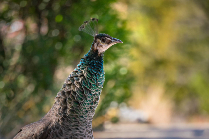 2026-02-FF-20251226-DSC00448-US2026-NM-CA-AZ251226