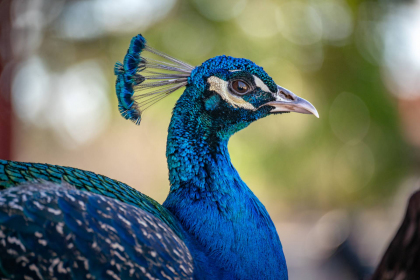 2026-02-FF-20251226-DSC00465-US2026-NM-CA-AZ251226