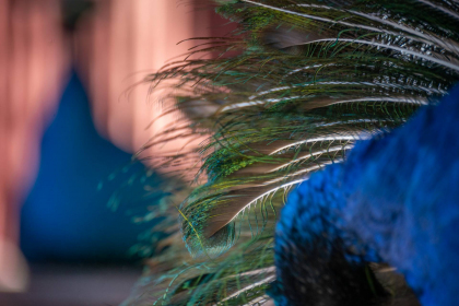 2026-02-FF-20251226-DSC00486-US2026-NM-CA-AZ251226