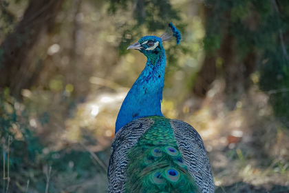 2026-02-FF-DSC00480-2251226