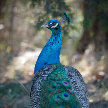 2026-02-DSC0E0480251226