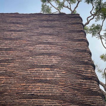 2026-02-IMG_0026251214