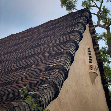 2026-02-IMG_0027251214