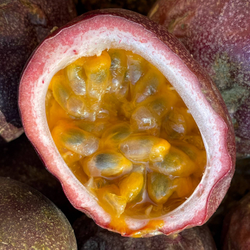 2026-02-IMG_0042251214