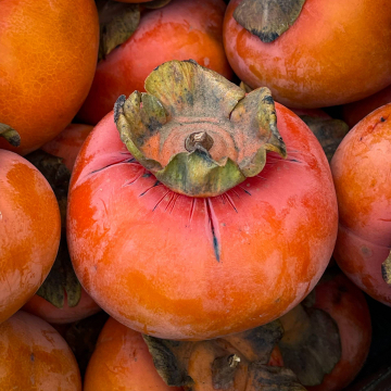 2026-02-IMG_0043251214