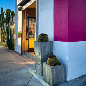 2026-02-IMG_0066251214