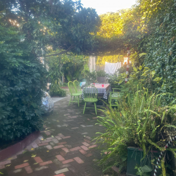 2026-02-IMG_0080251214