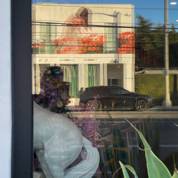 2026-02-IMG_0100251214