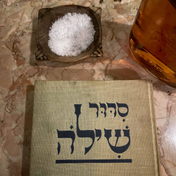 2026-02-IMG_0131251214