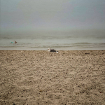 2026-02-IMG_0165251216