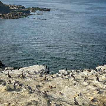 2026-02-IMG_0178251216