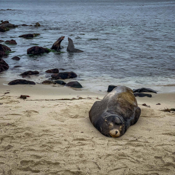 2026-02-IMG_0182251216