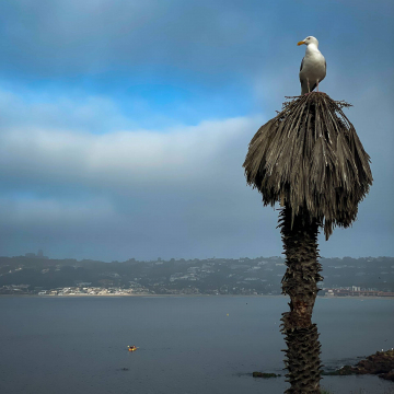 2026-02-IMG_0200251216