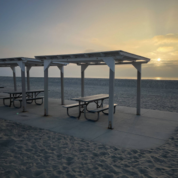 2026-02-IMG_0207251216