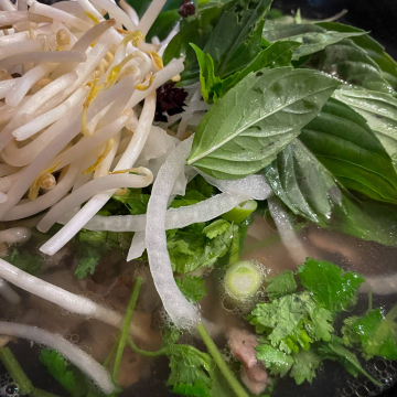 2026-02-IMG_0215251216