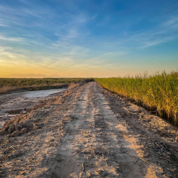 2026-02-IMG_0231251217