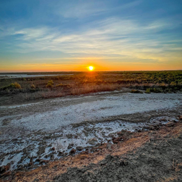 2026-02-IMG_0237251217