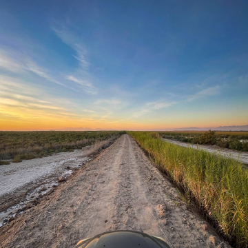 2026-02-IMG_0238251217