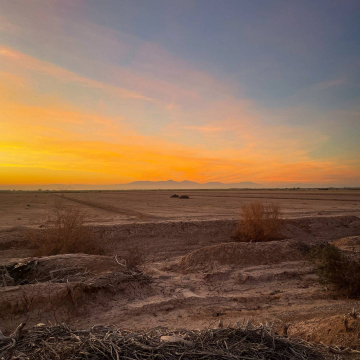 2026-02-IMG_0253251217