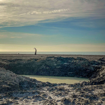 2026-02-IMG_0279251218