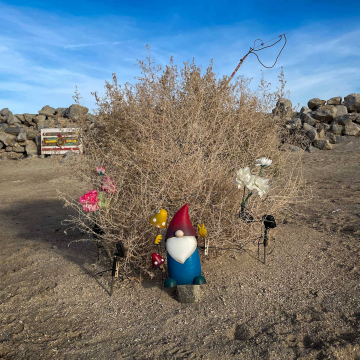 2026-02-IMG_0289251218