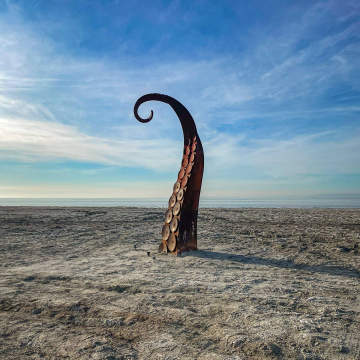 2026-02-IMG_0296251218