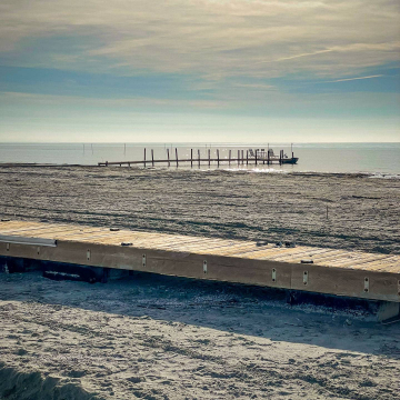 2026-02-IMG_0317251218