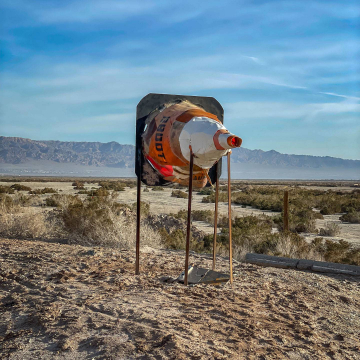 2026-02-IMG_0347251218