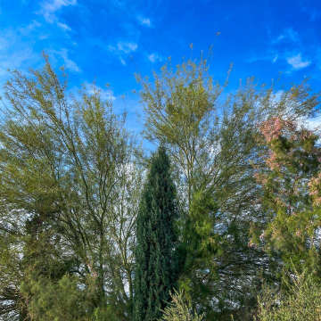 2026-02-IMG_0366251218