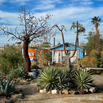 2026-02-IMG_0371251218