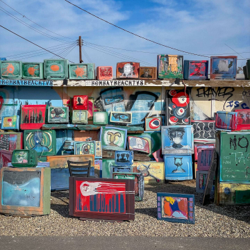 2026-02-IMG_0384251218