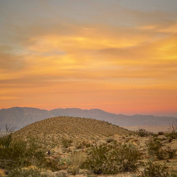 2026-02-IMG_0450251218