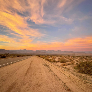 2026-02-IMG_0457251218