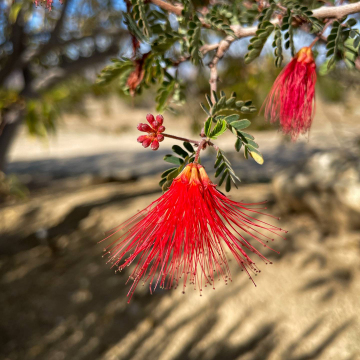 2026-02-IMG_0526251219