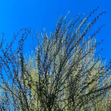 2026-02-IMG_0531251219