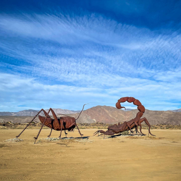 2026-02-IMG_0544251219