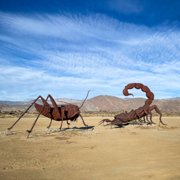 2026-02-IMG_0547251219