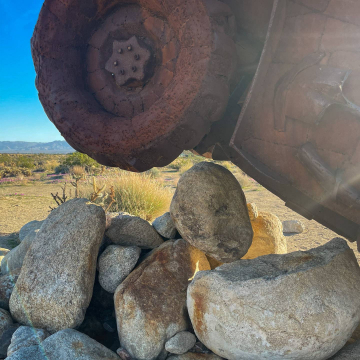 2026-02-IMG_0608251219