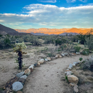 2026-02-IMG_0627251219